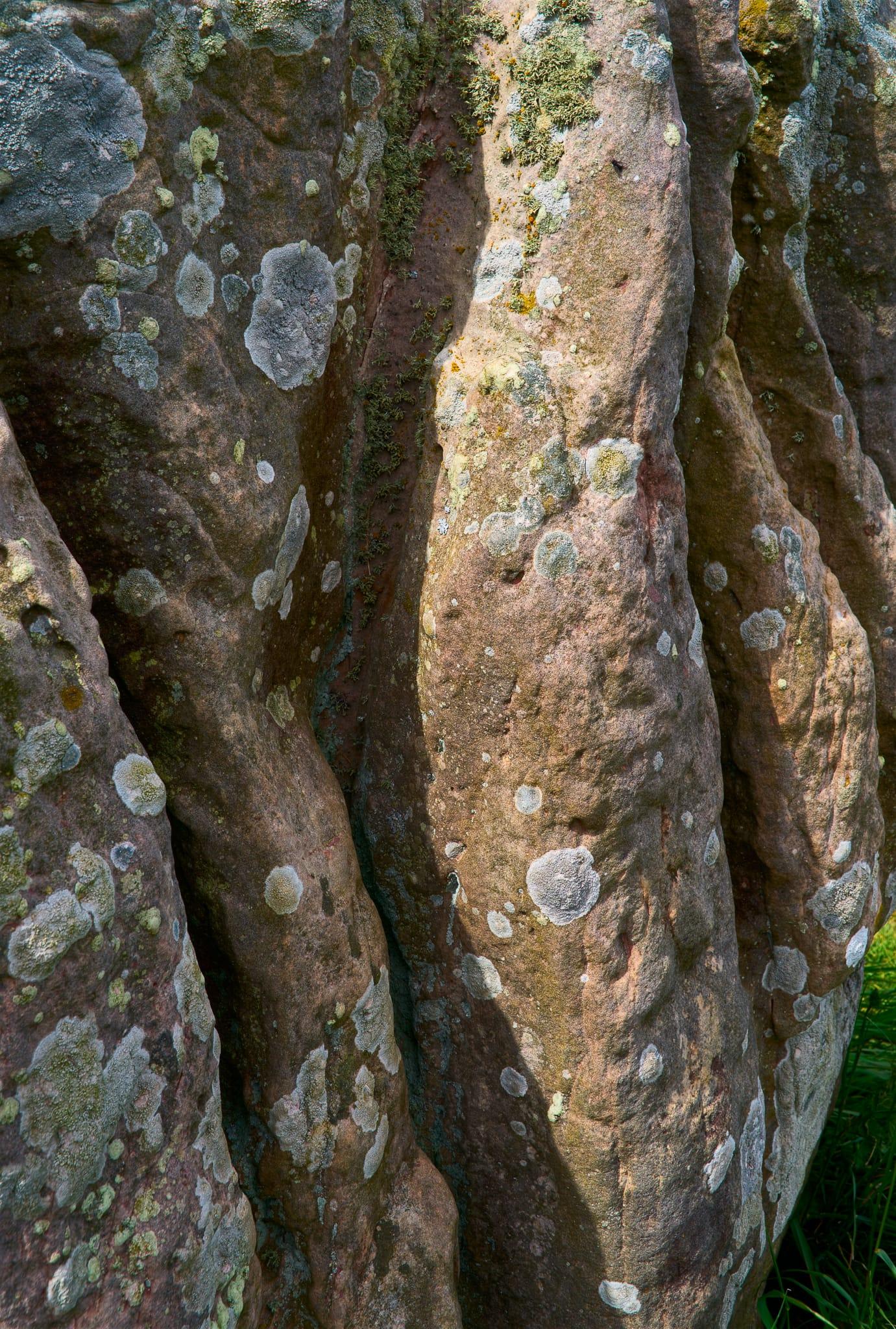 A close-up image captures the textured surface of one of the Duddo Five Stones in Northumberland, England. The weathered stone is characterised by deep vertical grooves and irregular contours, covered in various patches of pale grey and green lichen as well as small tufts of moss. The natural light highlights the rough, uneven surface, emphasising the stone’s ancient, timeworn character and the quiet resilience of the lichen growing on it, set against a subtle backdrop of grass at the base.