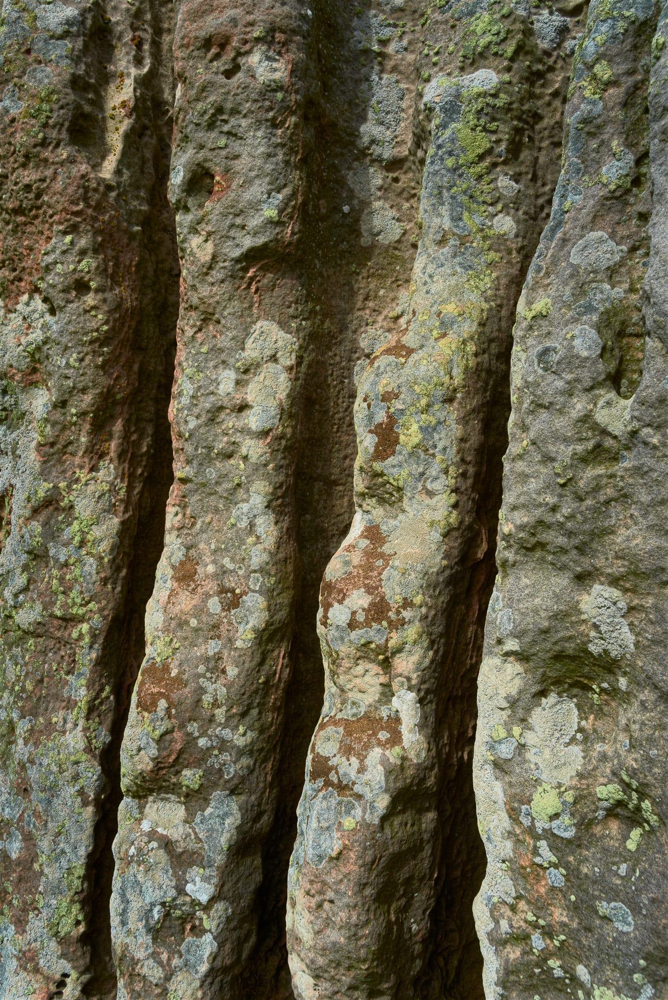 This detailed close-up image highlights the textured surface of another of the Duddo Five Stones in Northumberland, England. The stone features deep vertical grooves and ridges, with a rugged, weather-beaten appearance. The surface is adorned with diverse patches of lichen in shades of pale grey, green, and subtle yellow, adding a natural mosaic effect. The rough, uneven stone shows signs of age and exposure to the elements, with soft natural light accentuating the stone’s contours and the delicate growth of the lichens, emphasising the historic and enduring nature of the standing stones.