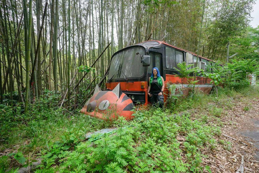 Sorry, no caption provided by author