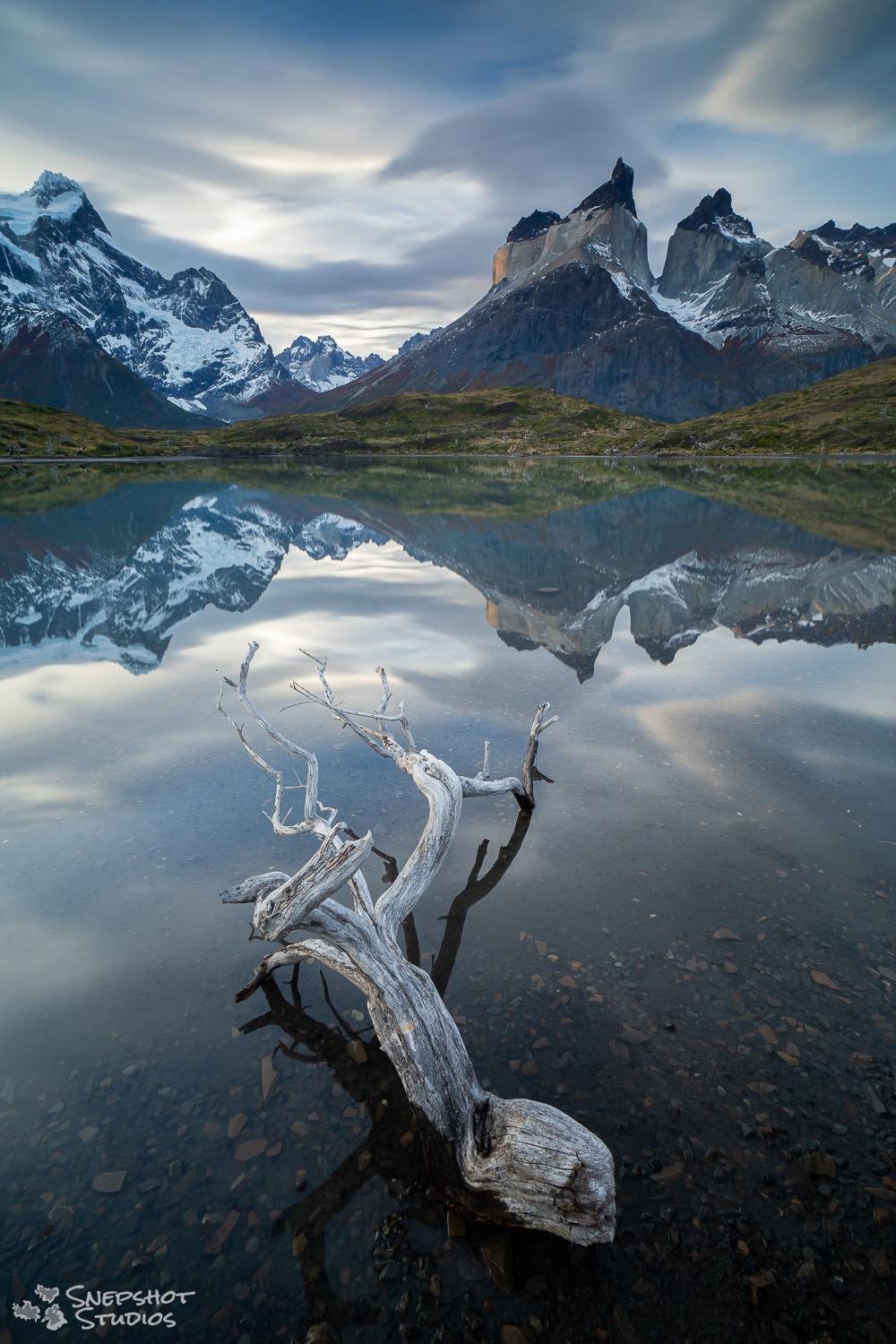 Chile, Torres del Paine, a branch of a burnt tree in a lake with a near perfect reflection of the Cuernos Chile, Torres del Paine, a branch of a burnt tree in a lake with a near perfect reflection of the Cuernos