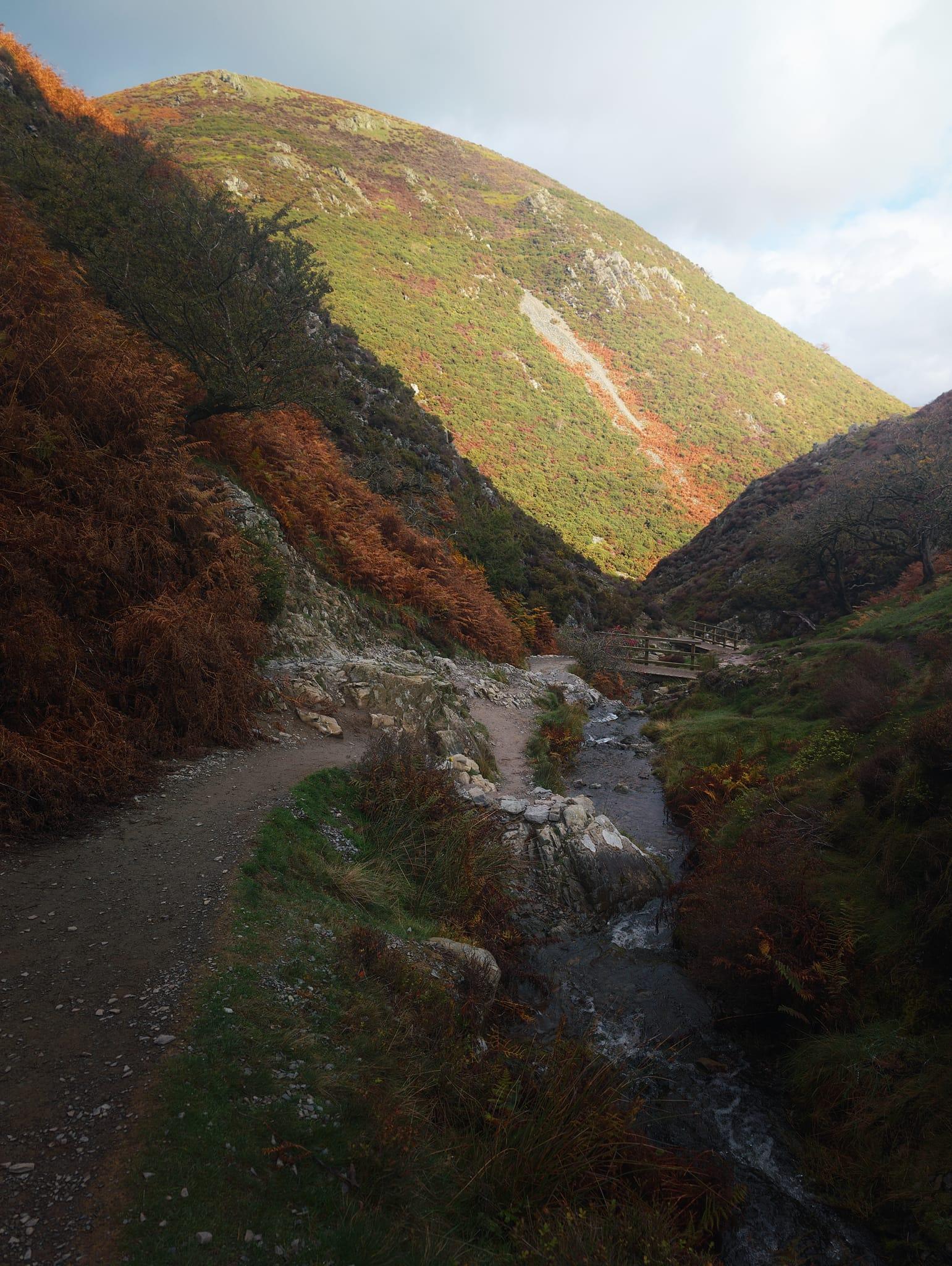 A rocky mountain stream winds through a deep valley beneath towering hillsides in autumn, with a wooden footbridge visible in the middle distance spanning the water. The steep slopes on either side are clothed in moorland vegetation displaying the season's palette of burnt orange, russet brown, and moss green, interspersed with exposed grey limestone and white scree, whilst the prominent rounded summit of Haddon Hill rises majestically ahead, its upper reaches bathed in warm sunlight and covered in golden-green grass with darker patches of heather and bracken. The clear stream tumbles over smooth rocks in the foreground, flanked by low vegetation and ferns, and the sky above is pale blue with soft white clouds, creating a serene autumnal landscape typical of the Shropshire Hills.