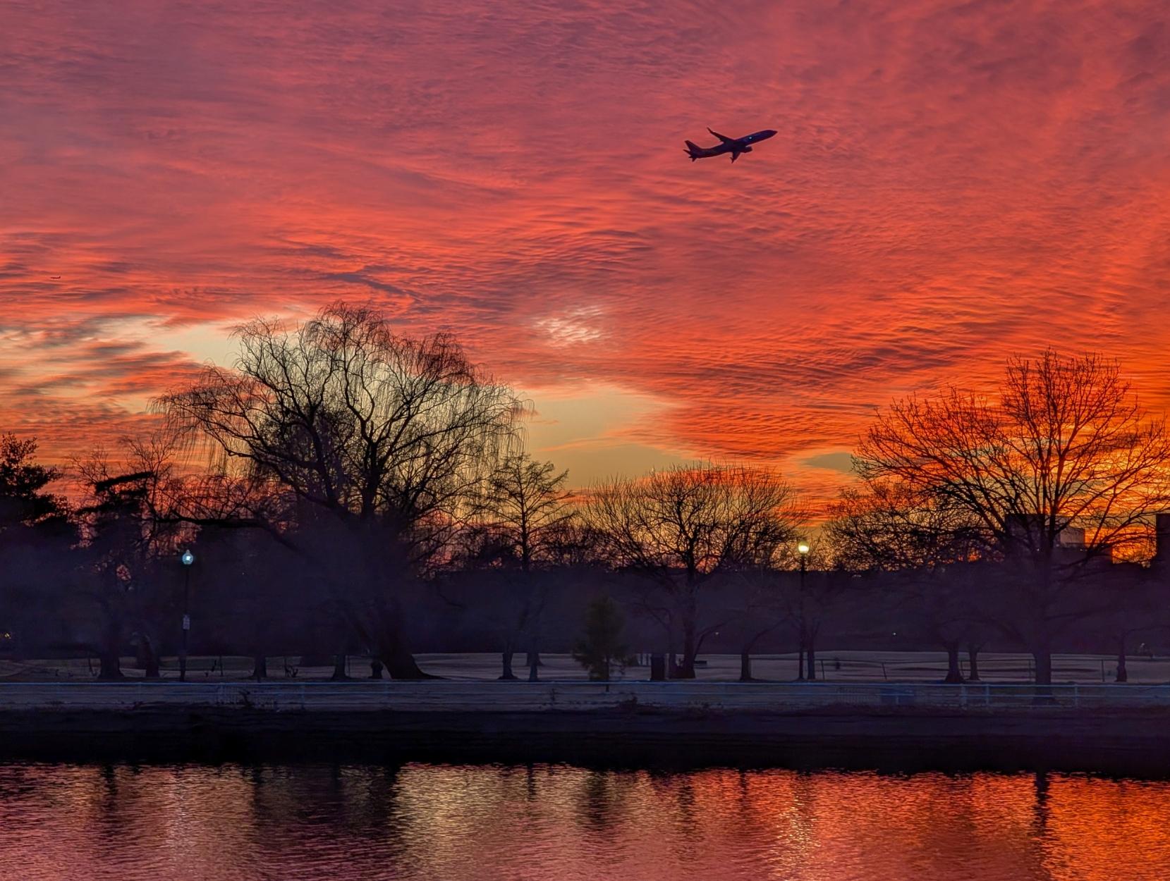 Pink clouds and the silhouette of an airplane taking off from DCA over trees on Hains Pt and the calm water of the Washington Channel