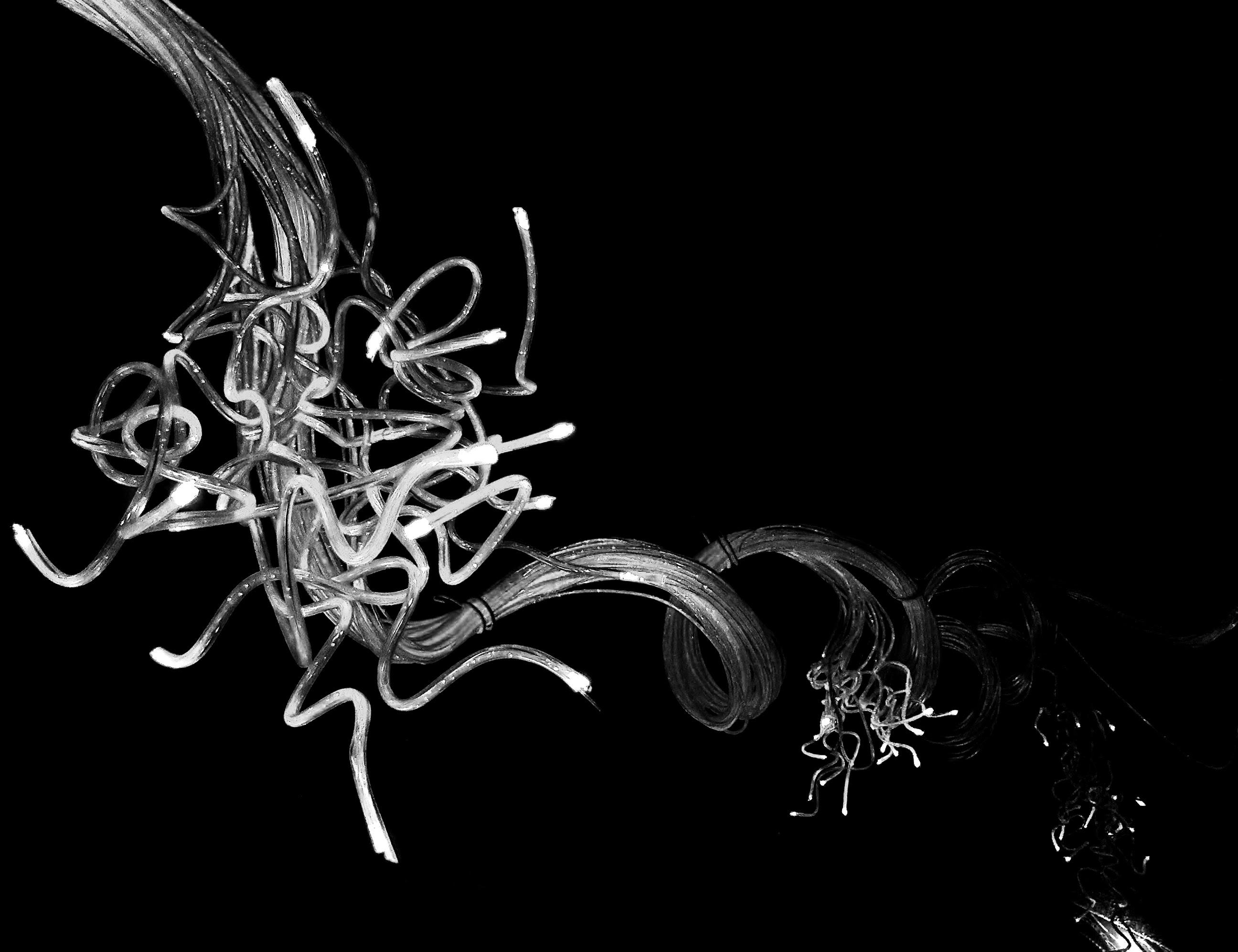 Black and white close-up of illuminated fiber optic strands against a black background. Bundles of thin, glowing fibers curve and twist, with some ends appearing brighter where the light exits. The strands are grouped in loose coils and tangled clusters, creating a high-contrast abstract pattern of light and dark.