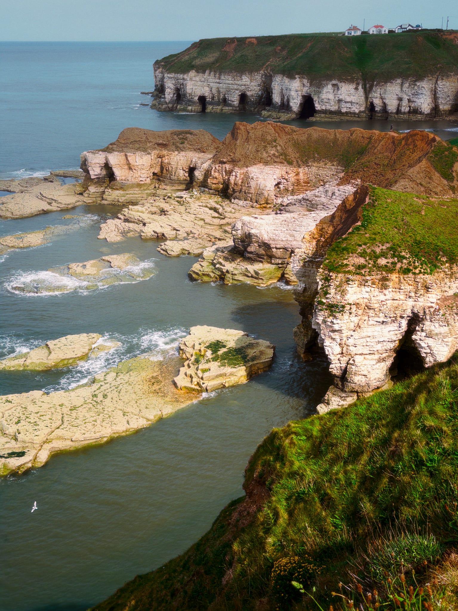 Clifftop view west of Thornwick Bay looking east across the rugged Flamborough coastline, with steep grass-topped chalk cliffs, sea caves and pale rocky platforms extending into calm blue-grey water, and a few houses visible on the distant headland.