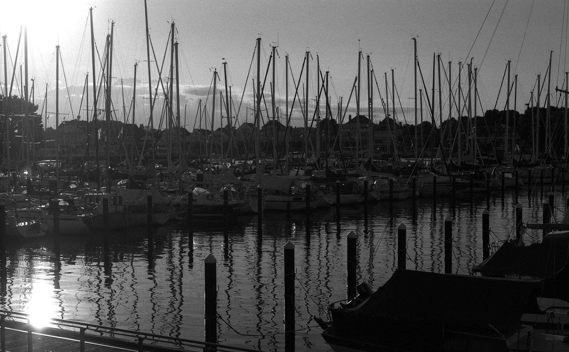 lots of boats
