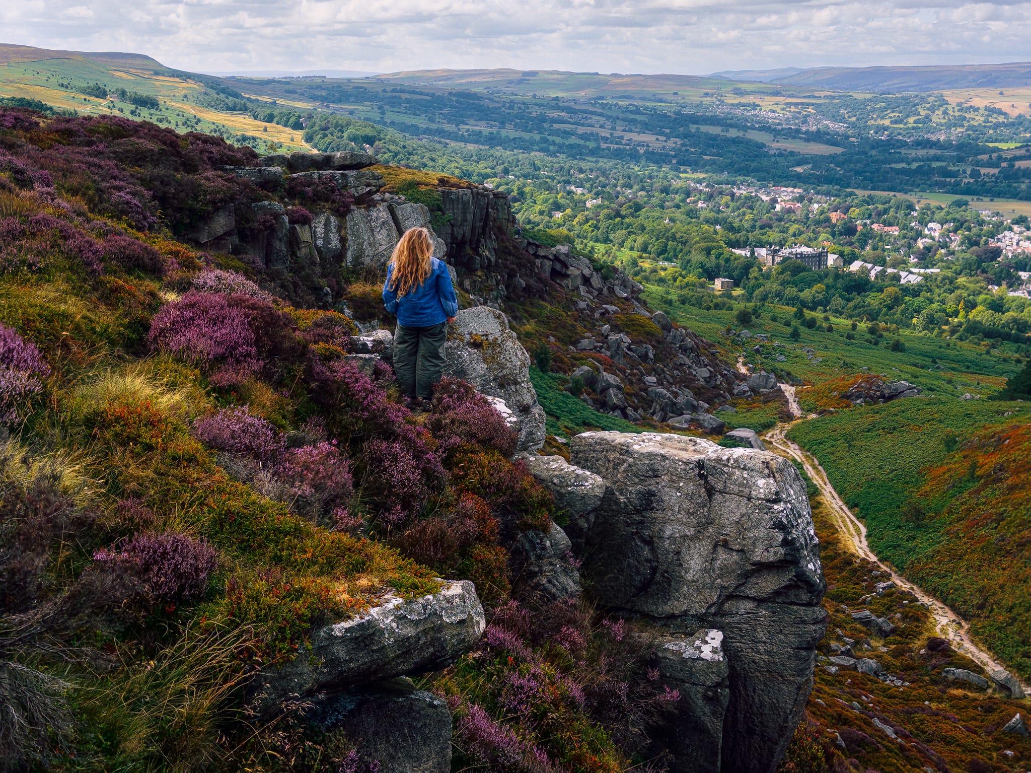 View from Ilkley Crags across a steep, rocky moorland slope covered in purple heather, grasses and bracken. A lone walker in a blue jacket stands among the rocks looking out over the Wharfe Valley, with a winding footpath descending through the hillside below. Ilkley and surrounding woodland spread across the valley floor, while broad green and brown moors rise in the distance beneath a softly clouded sky.