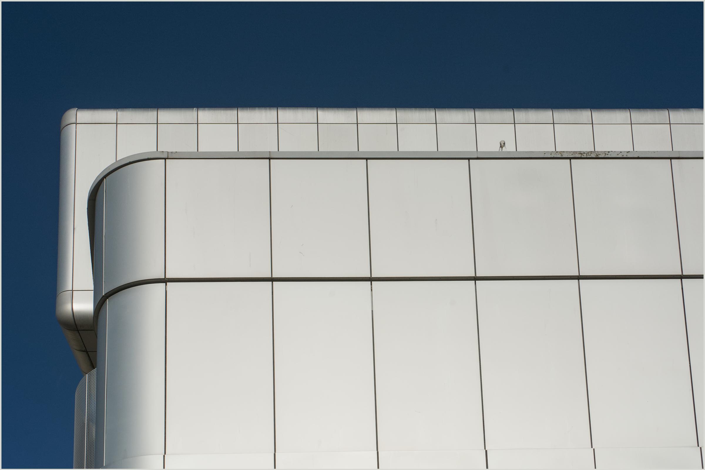 A abstract colour photograph taken at Bristol University, St Michaels Hill, Bristol UK.
The image is of a modern metallic, silver panelled, structure, which is reflecting strong sunlight.
There is a single bird, a Gull, peering over the side, from one the upper  levels of the building.
The backdrop is of a deep blue cloudless sky and strong sunshine is being reflected by the building.