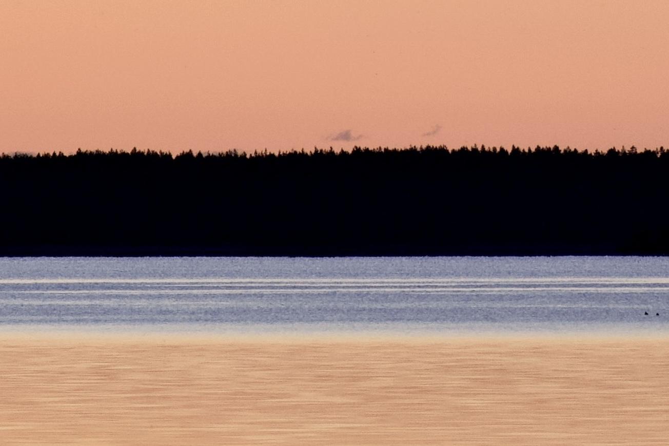 Dusk on water with forest at the horizon. Four color horizontal bands from top to bottom: orange , black, light blue, orange.
