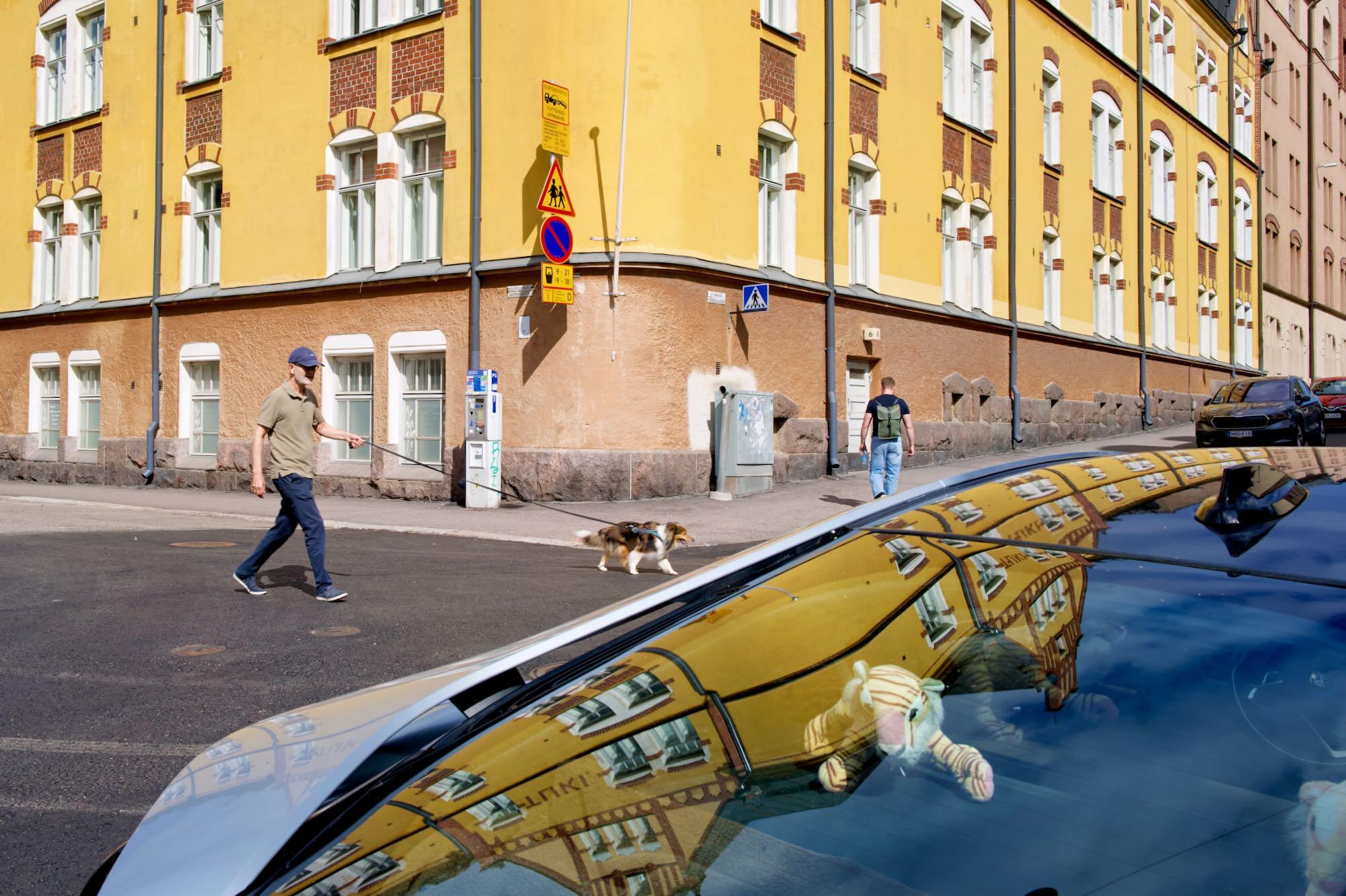 A sunny urban street scene with a mustard-yellow historic building covered in white-trimmed windows.
In the foreground, a shiny car reflects the building across its curved roof and windshield.
A small plush toy is visible inside the car, creating a playful detail within the reflection.
A man walks a small dog across the street, while another pedestrian walks along the sidewalk.
The composition contrasts everyday street life with strong geometric architecture and striking reflections.