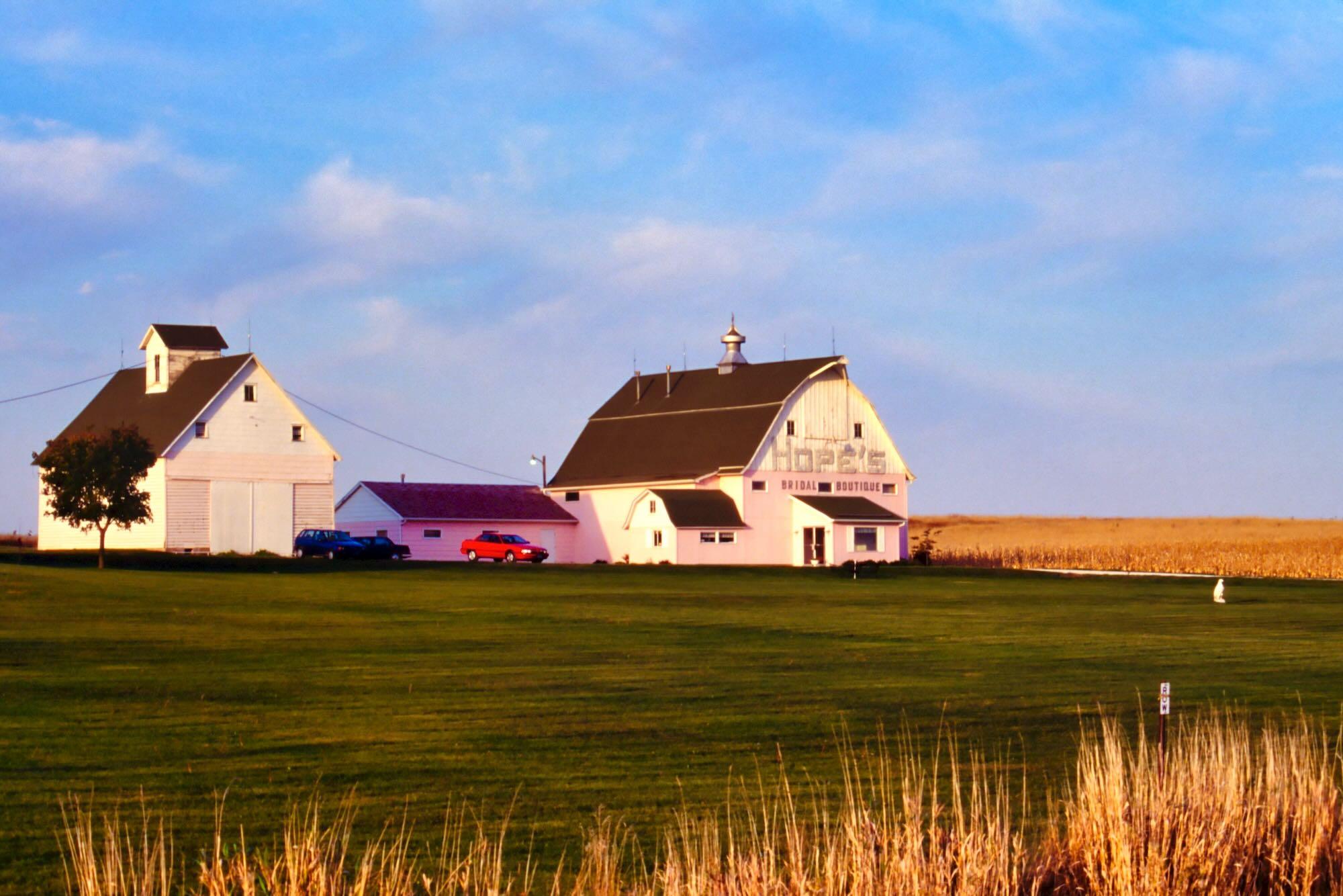 A rural farm complex is illuminated by warm, low-angle sunlight beneath a wide blue sky with soft clouds. Two large white wooden barns stand side by side in the middle distance, with smaller farm buildings between them. The larger barn on the right has a dark roof, a small cupola, and a sign reading “BRIDAL BOUTIQUE.” Several cars are parked beside the buildings. A neatly mown green field fills the foreground, bordered at the bottom by tall dry golden grasses. Beyond the buildings, a golden crop field stretches toward the horizon. The isolated farmstead and open landscape create a quiet, distinctly rural scene.