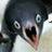 :penguin_shock: :penguin_shock: