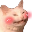:catto_blush: :catto_blush: