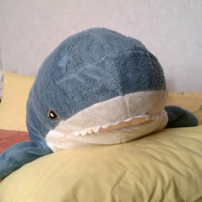 chonco