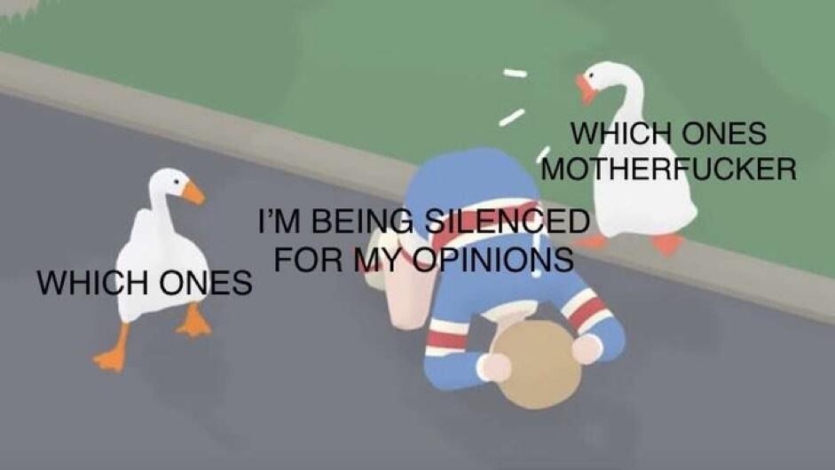 A screenshot from a multiplayer session of Untitled Goose Game, where both players have gotten an NPC to huddle in terror from the amphibious avian menaces. The NPC is labeled "I'm being silenced for my opinions", while the geese are labeled "WHICH ONES" and "WHICH ONES MOTHERFUCKER".