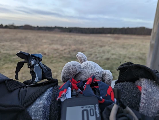 Posted media