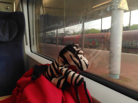 Foto: ich sitze im ICE und gucke hinaus auf dem Bahnsteig in Kassel-Wilhelmshöhe; auf der anderen Seite steht ein Güterzug, von dem man ein paar Schiebewand- und Schiebeplanenwagen sieht.
