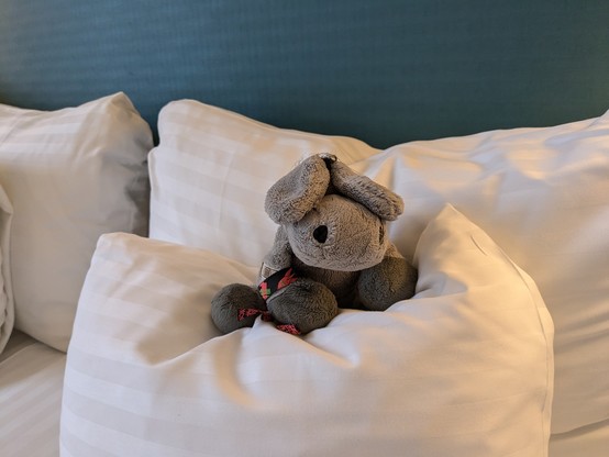 Plush donkey on a fluffy hotel pillow