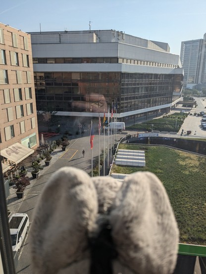 Plush donkey looking out of the hotel room's window at the Prague Conference Center where EuroPython takes place