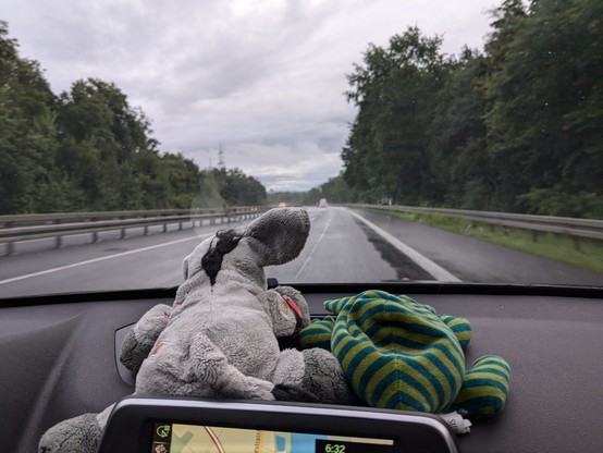 Plush donkey and aardvark sitting on a car's dashboard, looking at the road ahead.