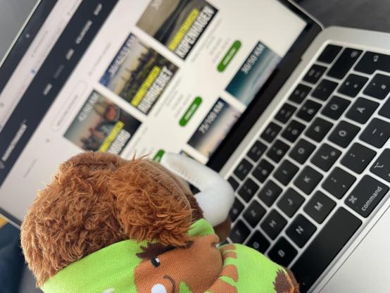 Plüschmammut Mathilde sitzt auf der Tastatur eines Laptops und starrt gebannt auf dem Monitor.