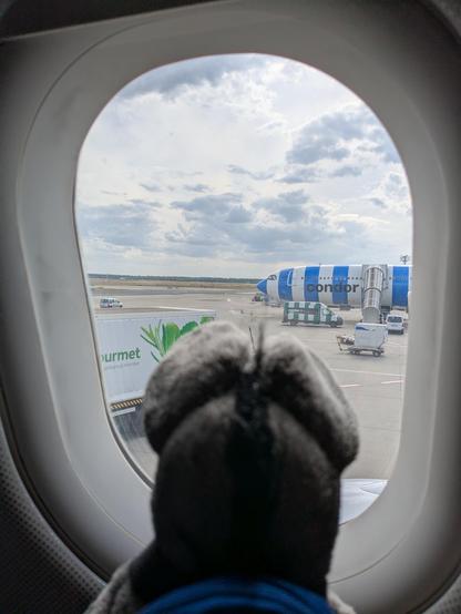 Plüschesel guckt aus dem Fenster eines Flugzeugs, das noch am Boden ist. Er schaut auf eine weitere Maschine.