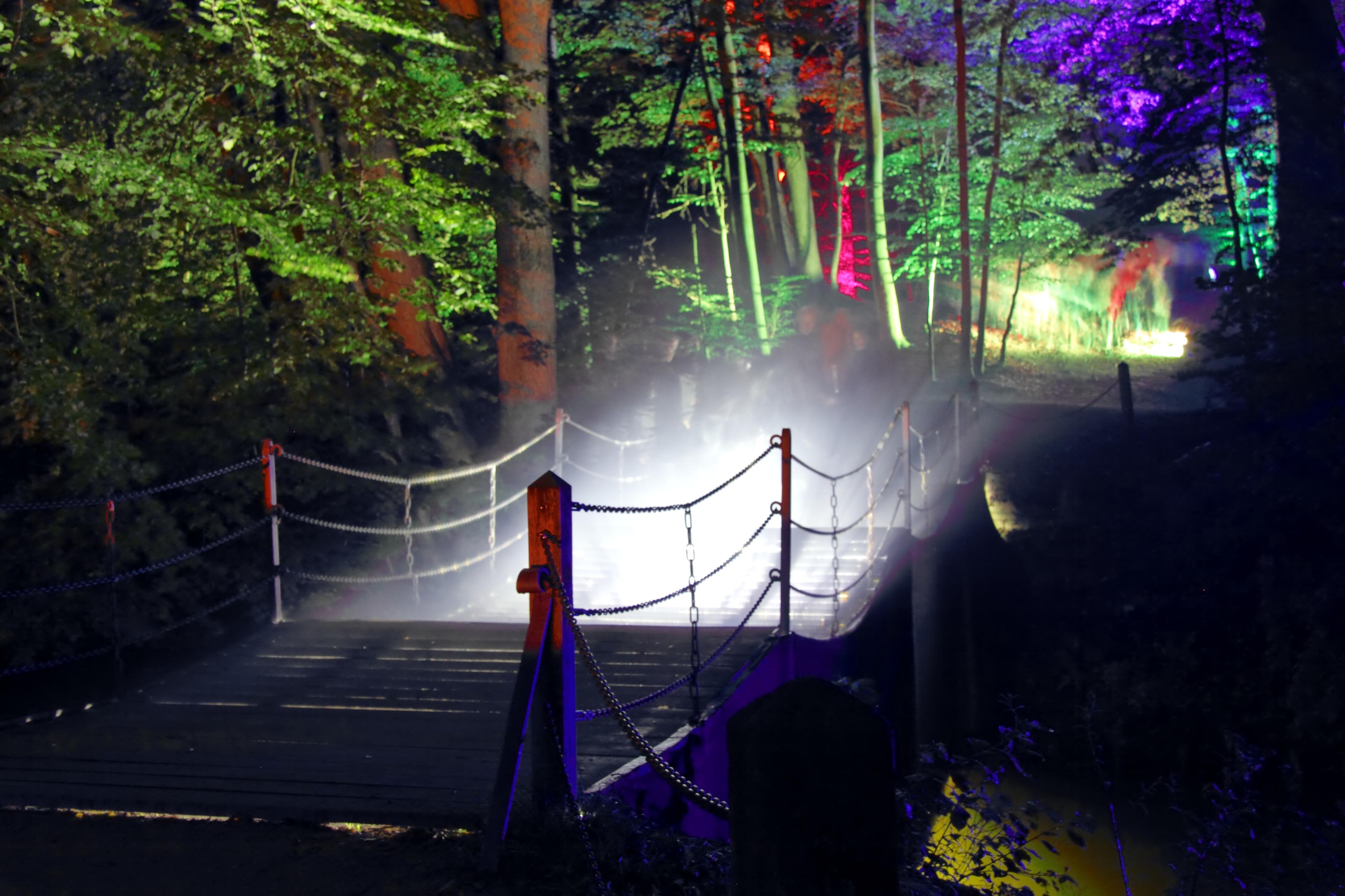 Eine kleine Holzbrücke im Bagno bei Steinfurt, aufgenommen während der Veranstaltung „Parkleuchten“. Nebel zieht über die Brücke, die von hellem Licht durchstrahlt wird, während der umliegende Wald in intensiven Farben wie Grün, Rot und Violett angestrahlt ist. Die Szene wirkt mystisch und fast geisterhaft.