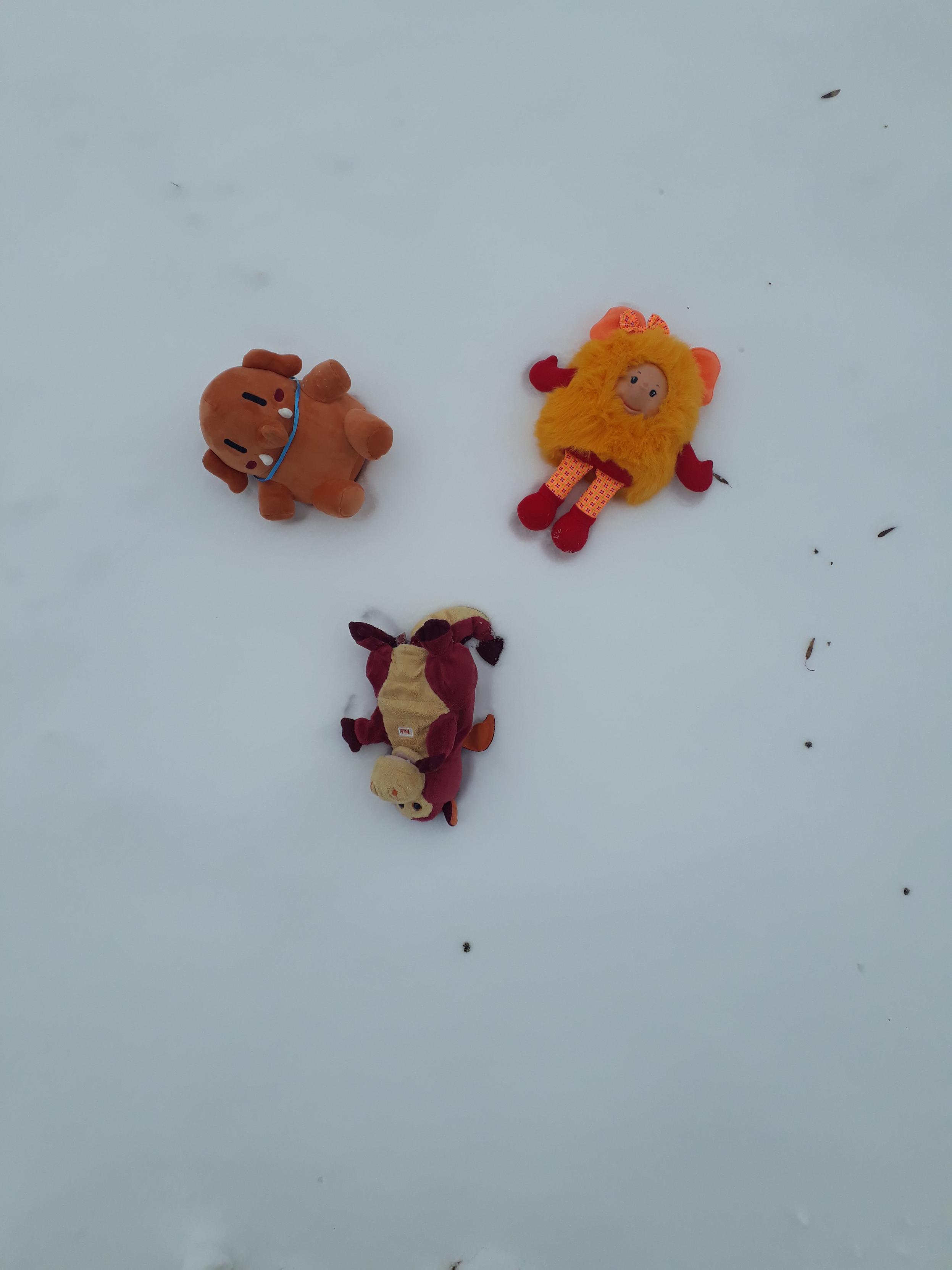 Mango, das orongsche Rüsselplüsch und ich liegen im Schnee und schauen in den Himmel. Das Bild ist von oben aufgenommen.