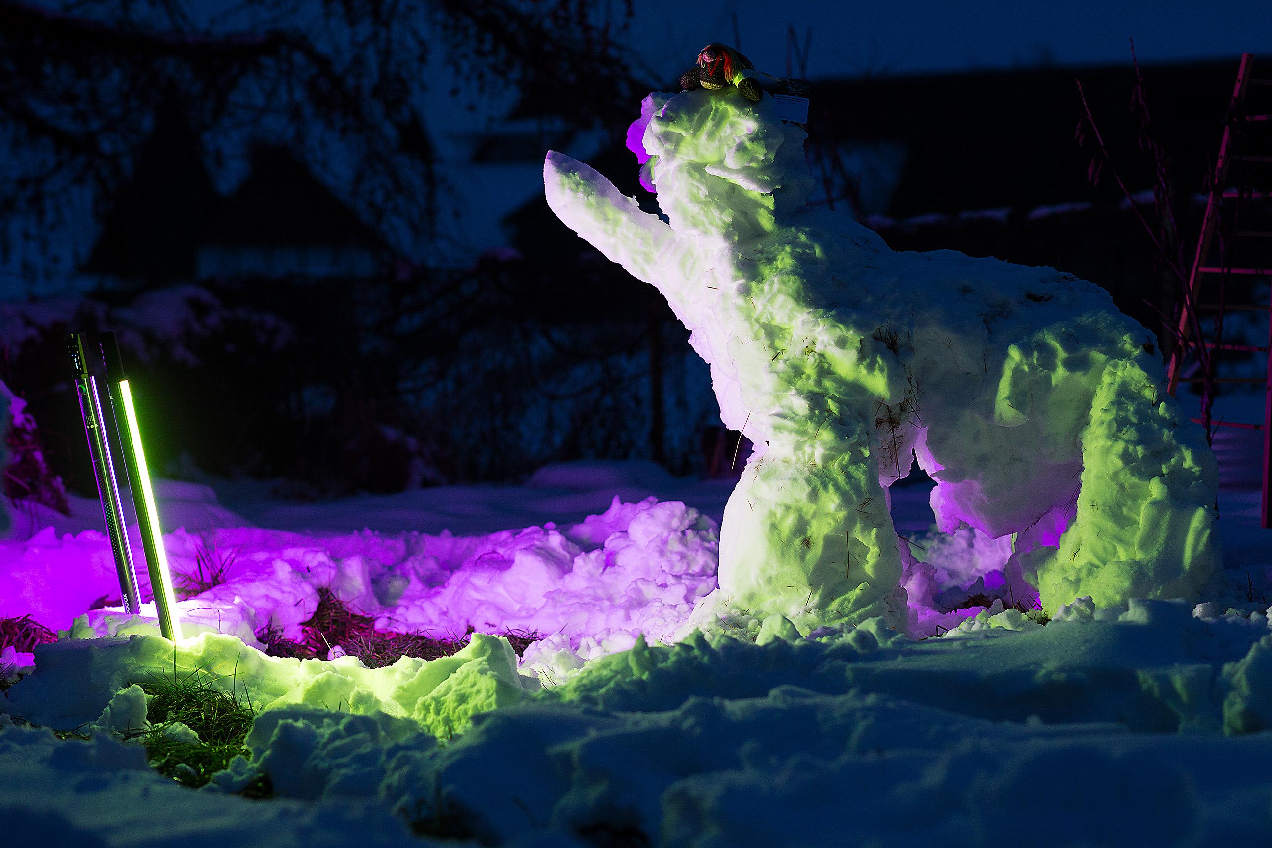 Max, das bunte Strickhorn, auf einem großen Schneeelefanten im Garten, mit lila-grüner Beleuchtung zur blauen Stunde.