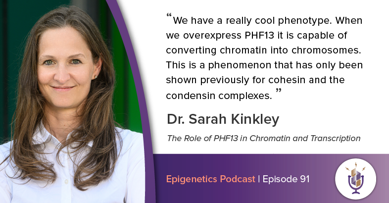 Image of Sarah Kinkley and a Quote from the Episode saying: „We have a really cool phenotype. When we overexpress PHF13 it is capable of converting chromatin into chromsomes. This is a phenomenon that has only been shown previously for cohesin and the condensin complexes.“