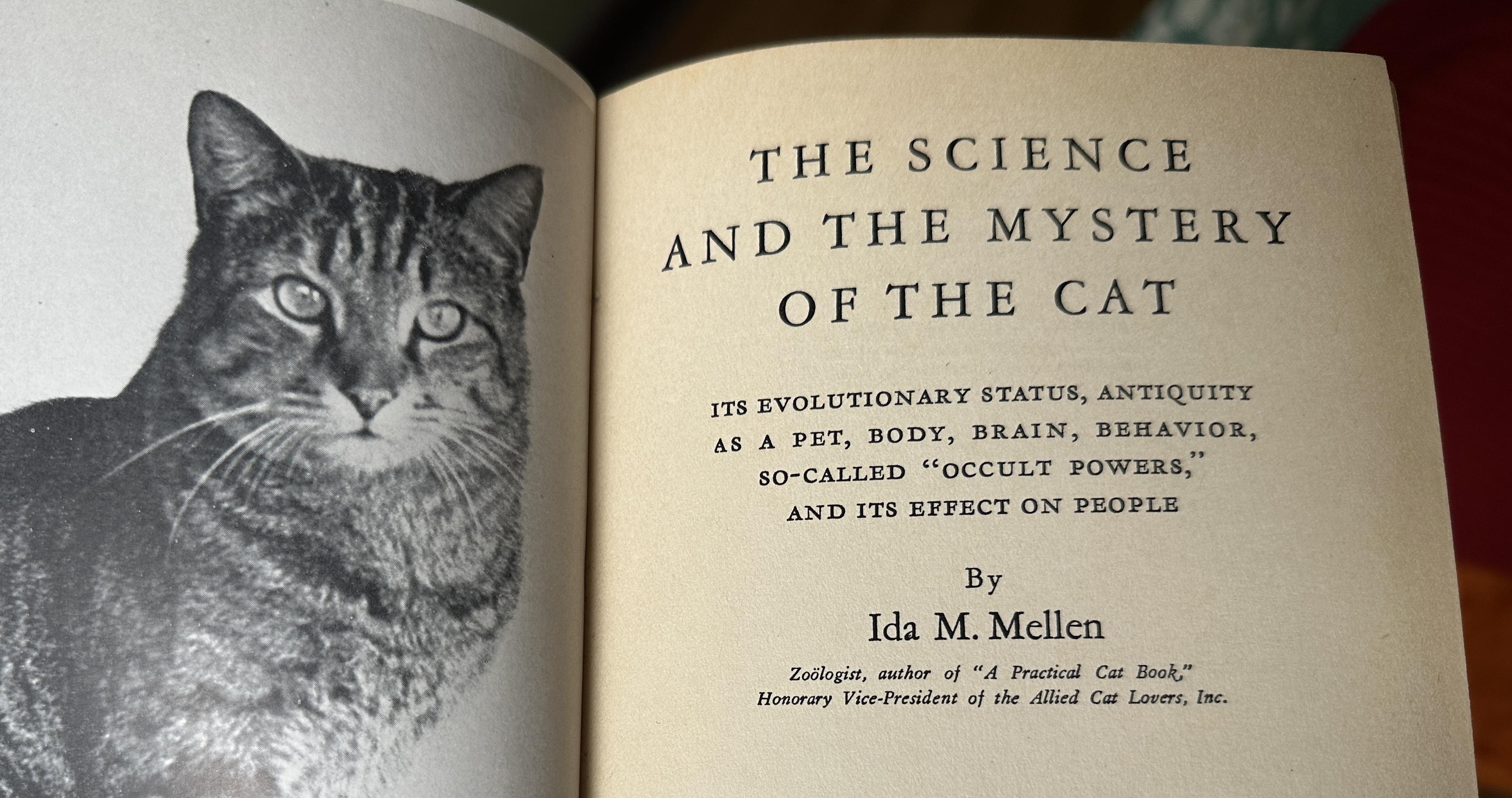 THE SCIENCE AND THE MYSTERY OF THE CAT
ITS EVOLUTIONARY STATUS, ANTIQUITY AS A PET, BODY, BRAIN, BEHAVIOR, SO-CALLED "OCCULT POWERS,"
AND ITS EFFECT ON PEOPLE
By
Ida M. Mellen
Zoölogist, author of "A Practical Cat Book" Honorary Vice-President of the Allied Cat Lovers, Inc.