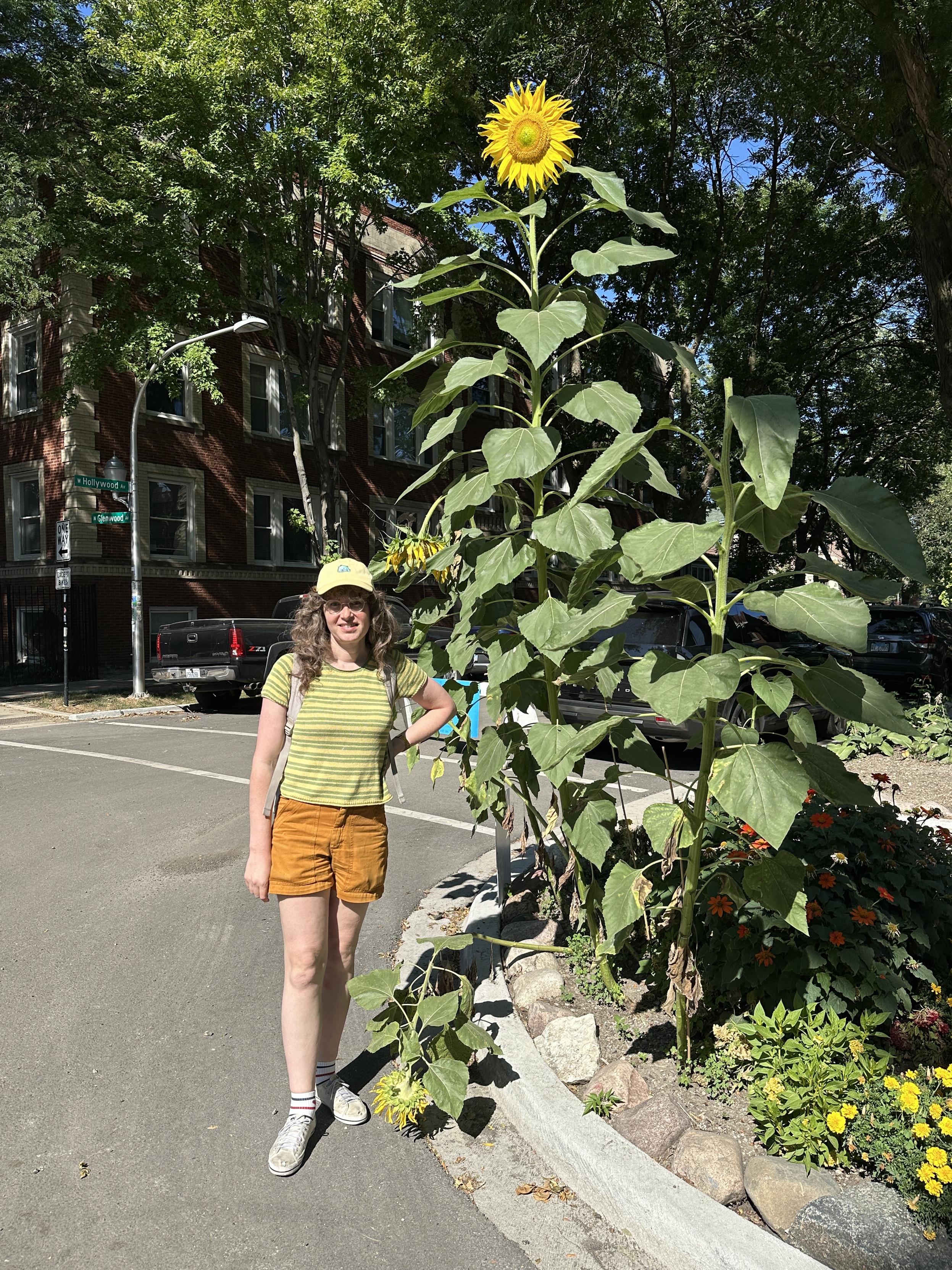 Me standing next to a sunflower that has to be at least 10 feet high
