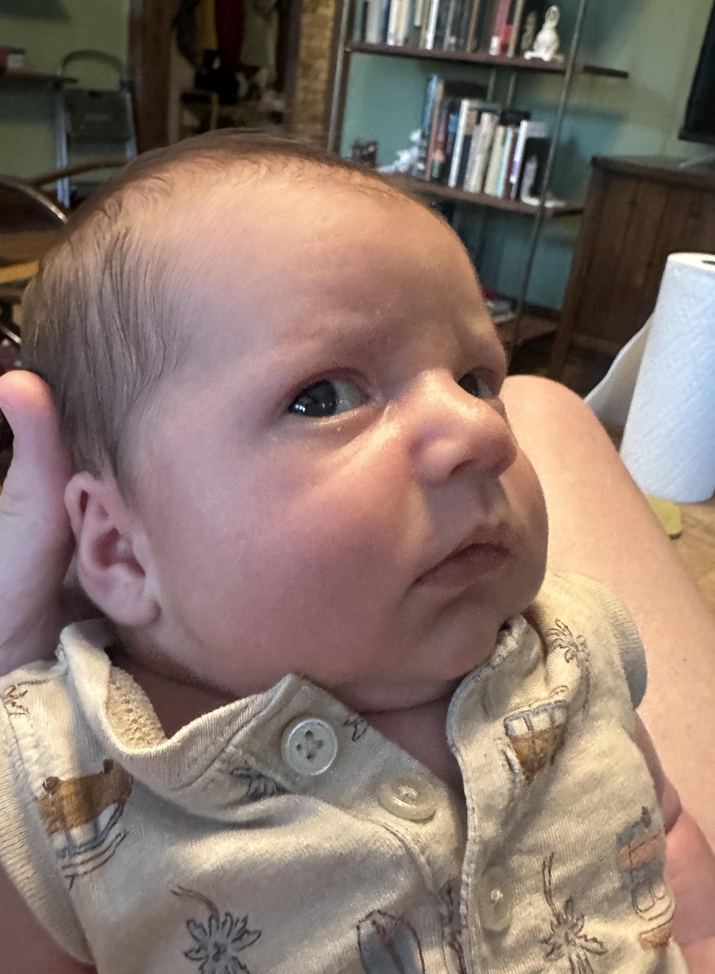 My baby looking like a suspicious and confused tory