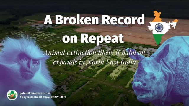 A Broken Record on Repeat - Animal Extinction Likely if Palm Oil Expands in North East India