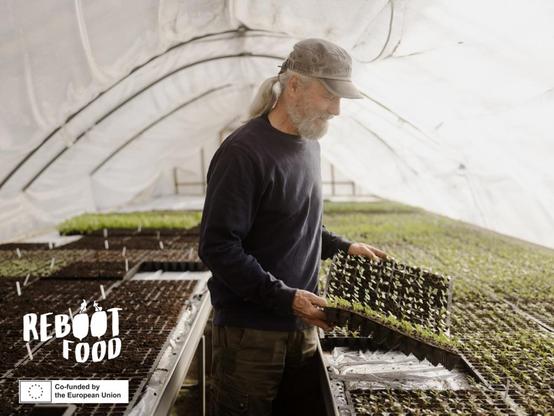 A farmer with white long hair and a beard, wearing a cap, holds seedlings in a greenhouse. White text: REBOOT FOOD