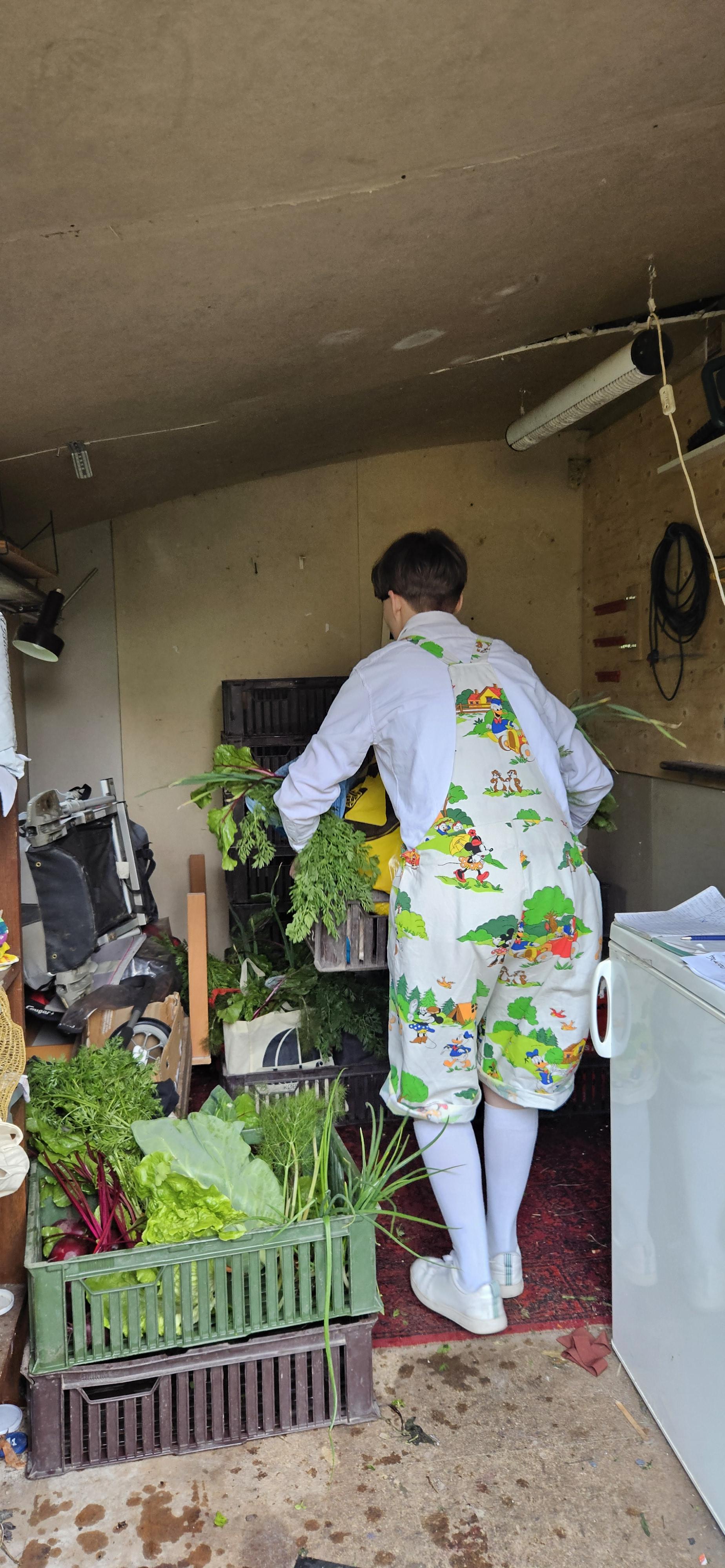 A person carries a crate of veggies in a small shed full of crates of veggies