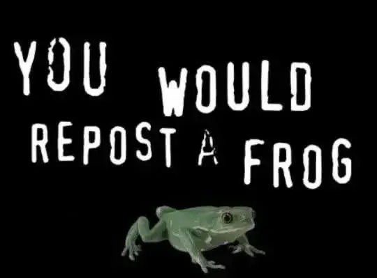 picture of a frog with the text "you would repost a frog" in the style of that famous anti-pracy ad displayed above it.