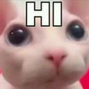 :cateyeshi: