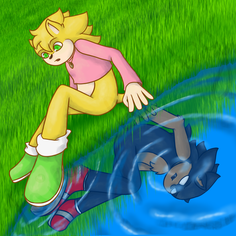 A golden colored hedgehog similar to Sonic is sitting on the grass with his foot on a puddle. In his reflection looks like a version of Dark Sonic.