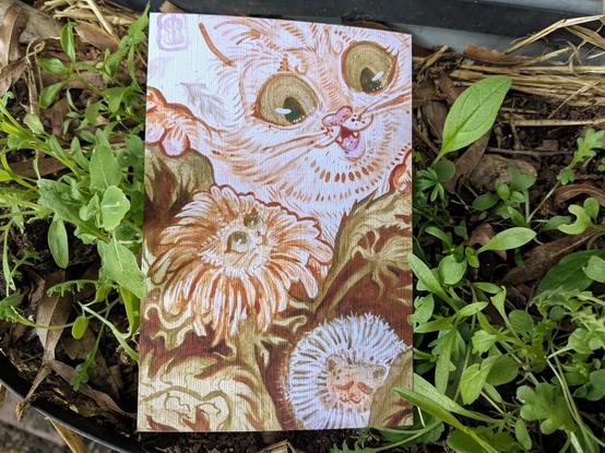 4x6 postcard of orange cat meeting an orange dandelion, original painted in dandelion and walnut ink