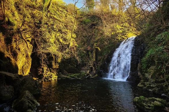 A waterfall cascades into a dark pool surrounded by moss-covered rocks and lush green foliage in a secluded area.
