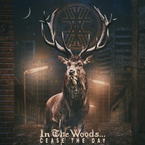 Image for Substance Vortex by In The Woods... Image for Substance Vortex by In The Woods...