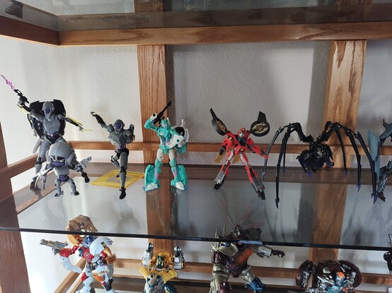 Photo of a glass display shelf featuring various female Transformers toys, including characters like Nightbird, Moonracer, Terran Twitch, and Airachnid