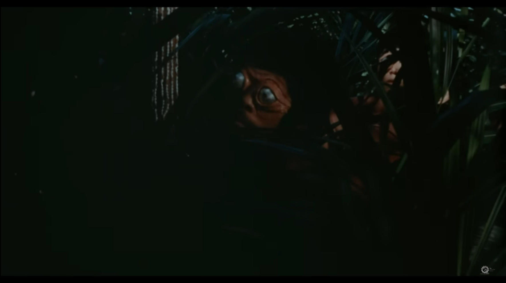 Link Preview Image