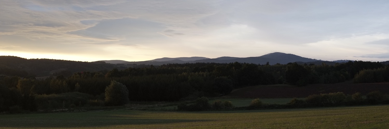 Header Image