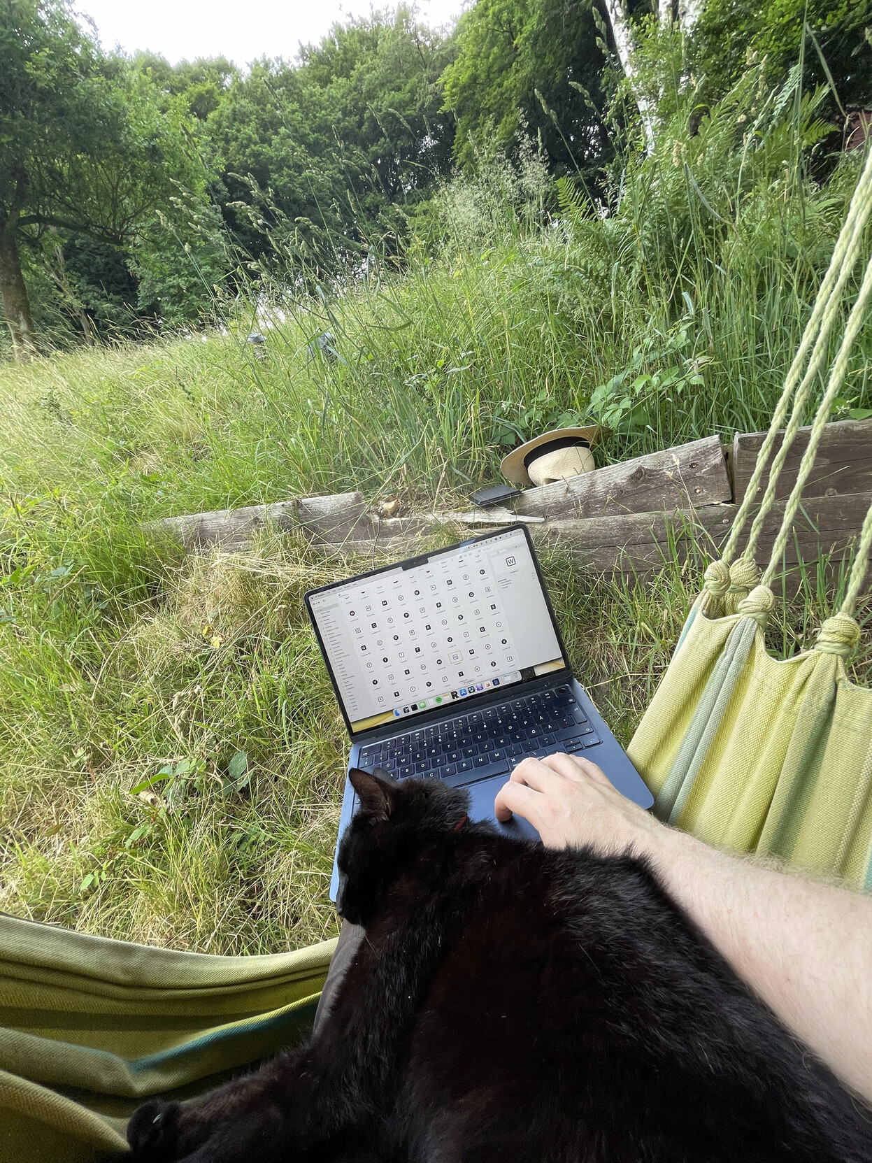 Photo of garden swing seat with cat and MacBook