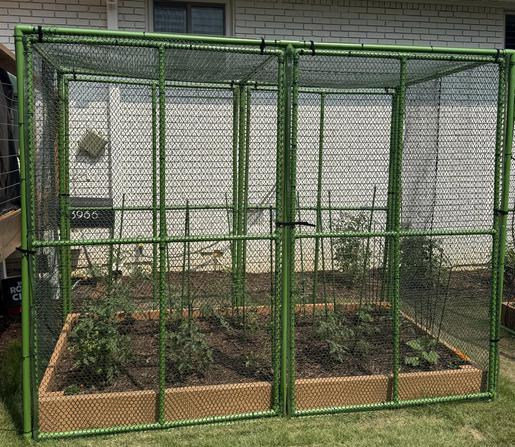 Side view of raised 4x8 garden bed. PVC frame with plastic heavy duty mesh approximately 6 foot high covers and encloses entire raise bed protecting plants from birds and small mammals