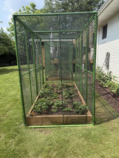 Two raised 4x8 garden bed from one end. Beds are arranged end to end. PVC frame with plastic heavy duty mesh approximately 6 foot high covers and encloses entire raise bed protecting plants from birds and small mammals