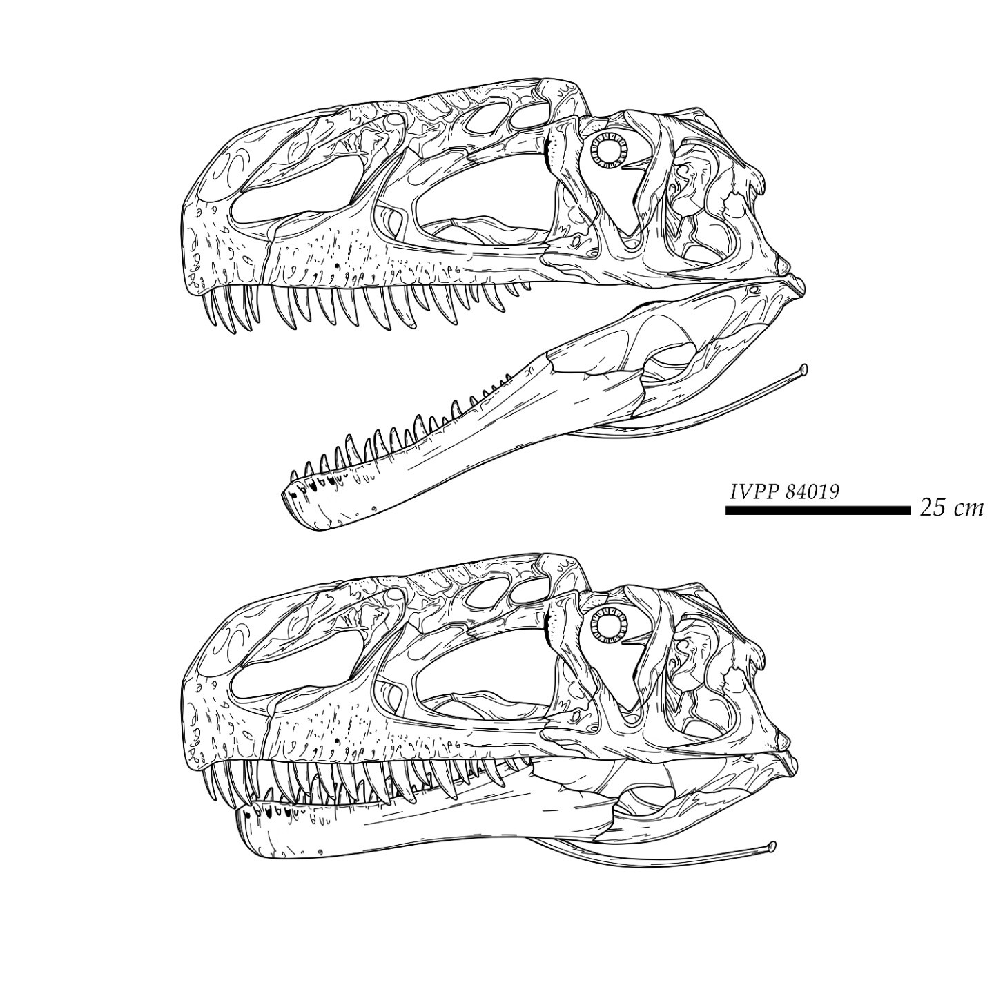 Rudolf Hima (@HimaRudolf@sauropods.win) - Sauropods.win