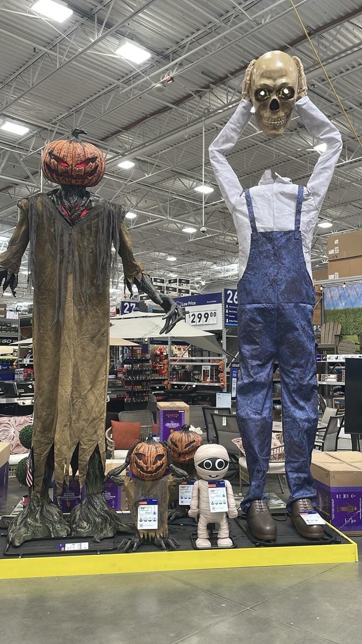 15 foot tall animatronic Halloween skeletons. Because if you can’t afford to buy food or memory, you may as well spend it on pointless decorations.