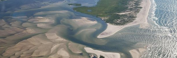 akamran's profile header